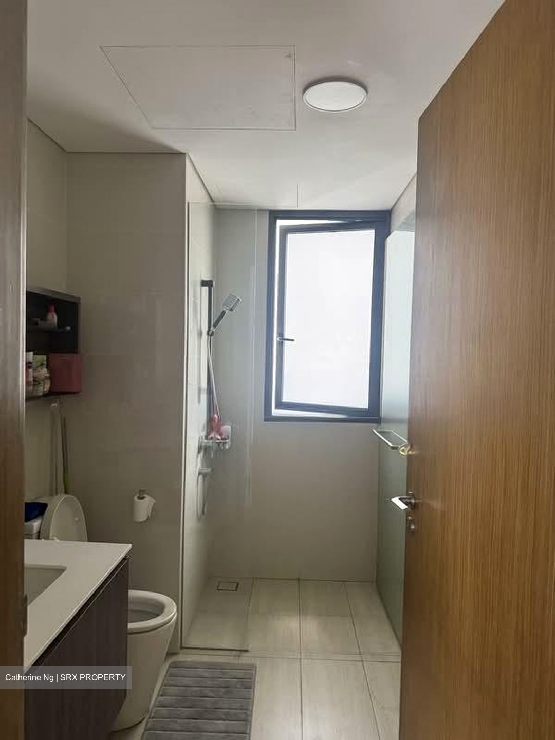Lakeville (D22), Condominium #546645551